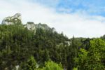 2014-07-05_Laengental-N-Hochweg (500). JPG